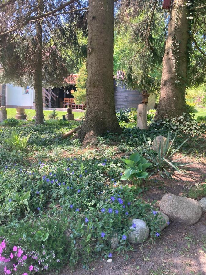Magnolia Apartment Kruklanki Bagian luar foto