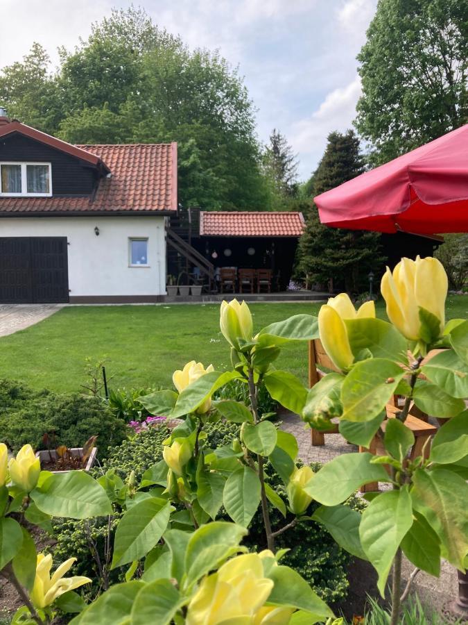 Magnolia Apartment Kruklanki Bagian luar foto