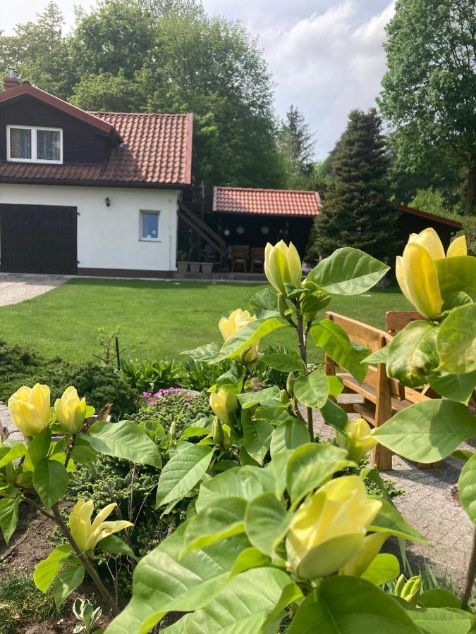 Magnolia Apartment Kruklanki Bagian luar foto